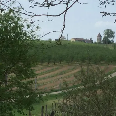 Family Chateau Retreat Fargues-sur-Ourbise