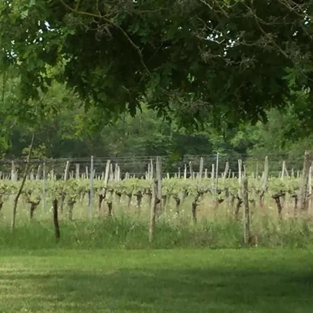 Family Chateau Retreat *